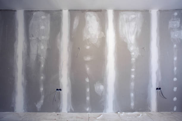 Best Fire-Damaged Drywall Repair  in Torrance, CA